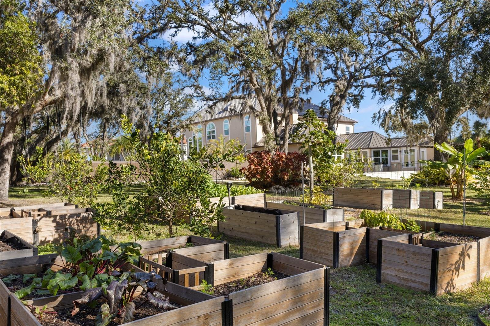 3025 OAKMONT Dr CLEARWATER, FL 33761